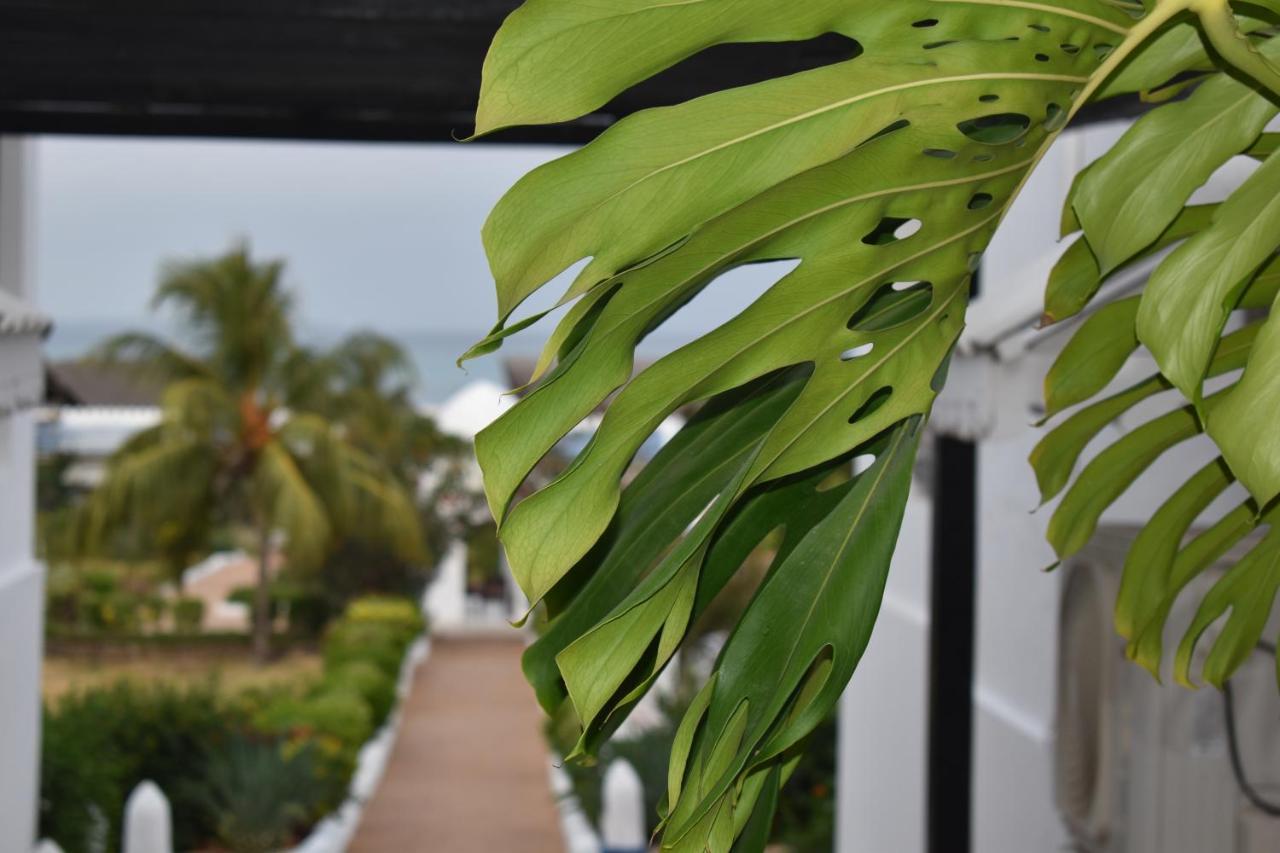 Kendwa Beach Resort Exterior foto